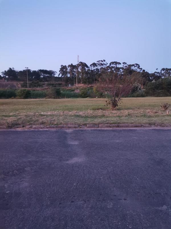 0 Bedroom Property for Sale in Albertinia Western Cape